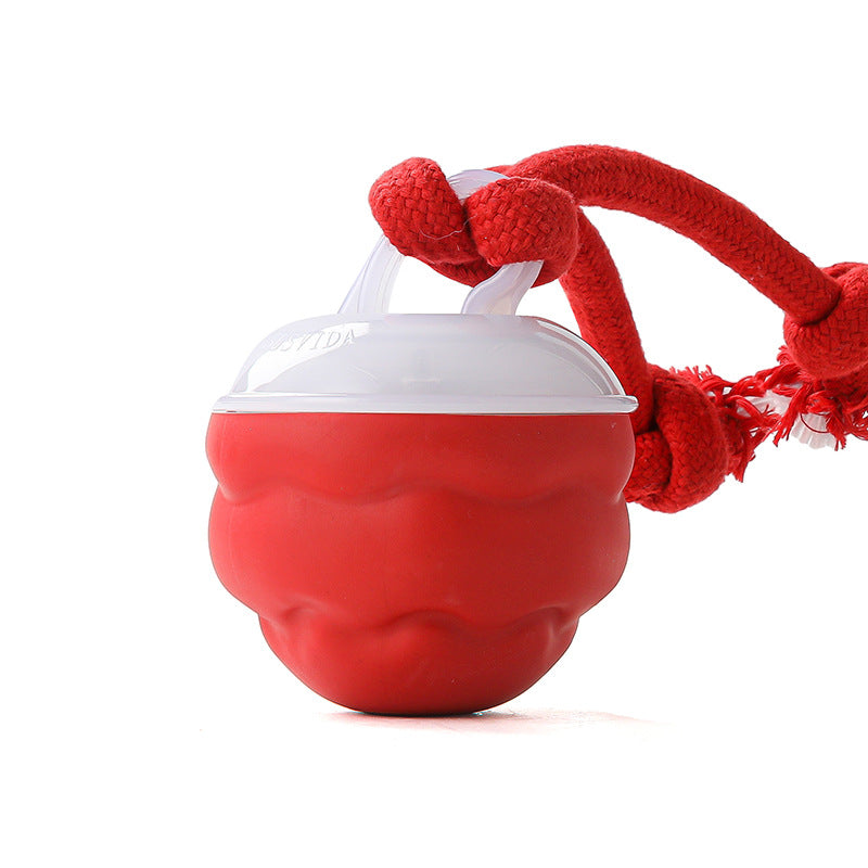 🎄Interactive Electronic Pet Soothing Toy Ball