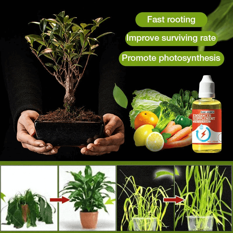 Plant Growth Enhancer Supplement(BUY 1 GET 1 FREE)