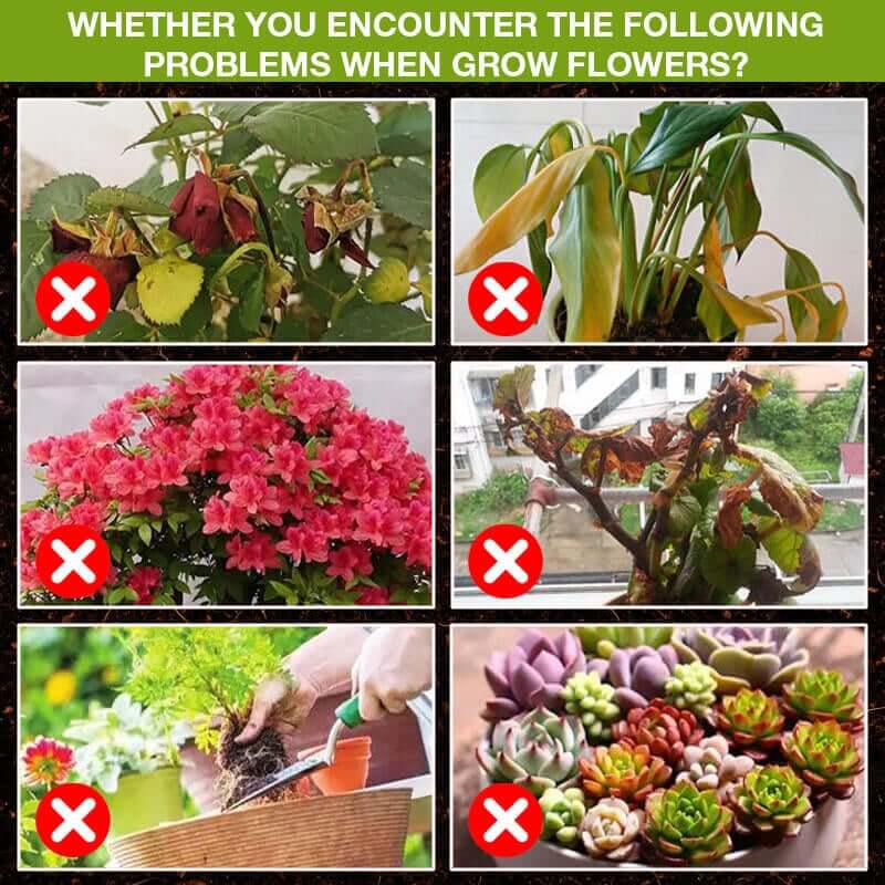 Plant Growth Enhancer Supplement(BUY 1 GET 1 FREE)