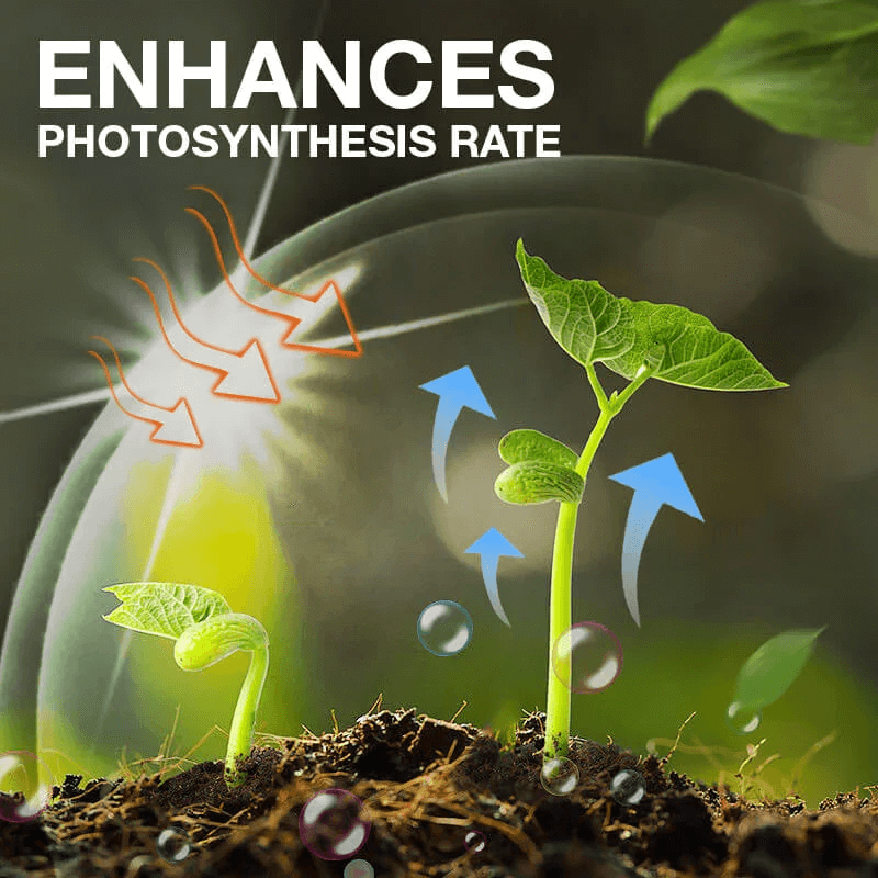 Plant Growth Enhancer Supplement(BUY 1 GET 1 FREE)