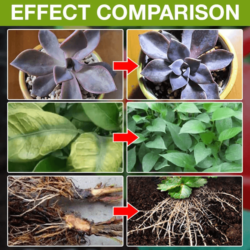 Plant Growth Enhancer Supplement(BUY 1 GET 1 FREE)