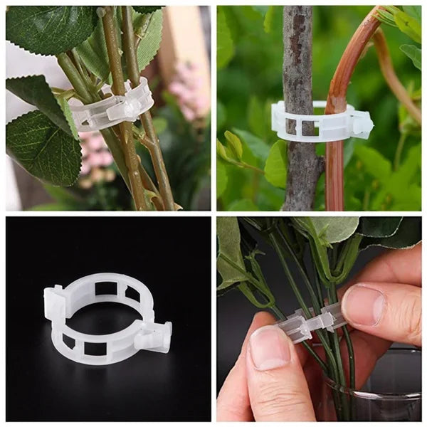 💥2024 Hot Sale 49% OFF💥 Secured Plastic Plant Clip(BUY 3 GET 2 FREE)