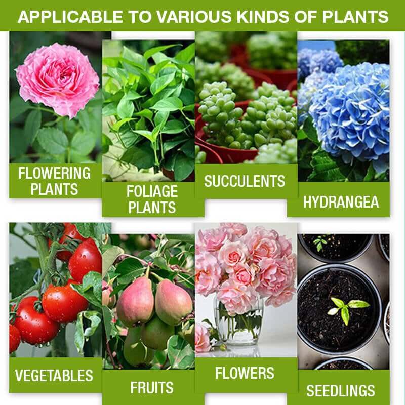 Plant Growth Enhancer Supplement(BUY 1 GET 1 FREE)