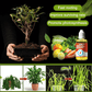 Plant Growth Enhancer Supplement（BUY 1 GET 1 FREE）