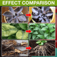 Plant Growth Enhancer Supplement（BUY 1 GET 1 FREE）