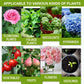 Plant Growth Enhancer Supplement（BUY 1 GET 1 FREE）