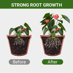 Detroit® Special Bone Meal Organic Fertilizer - Promote The Growth of Flowers and Fruits