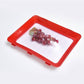 🎄Environmentally friendly design - Reusable Food Preserving Tray