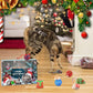 🎄🎁Christmas Countdown Cat & Dog Toys Advent Calendar🐾🥳