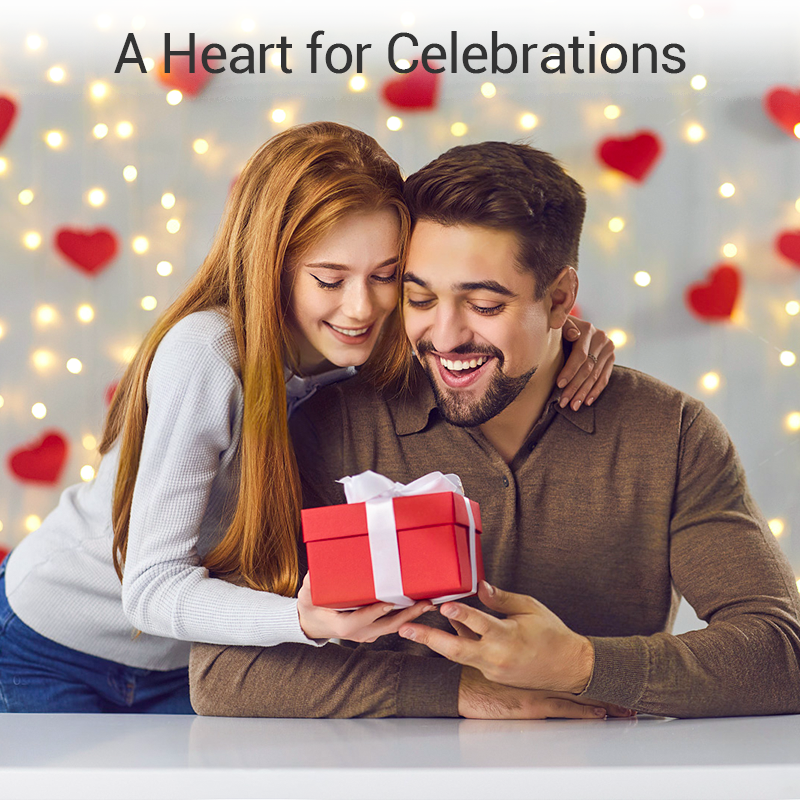 Titanium Steel Rotatable Spinner Ring with Zirconia