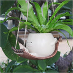 💝Playful Round Planter